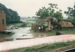 車窓から見たインドの農村